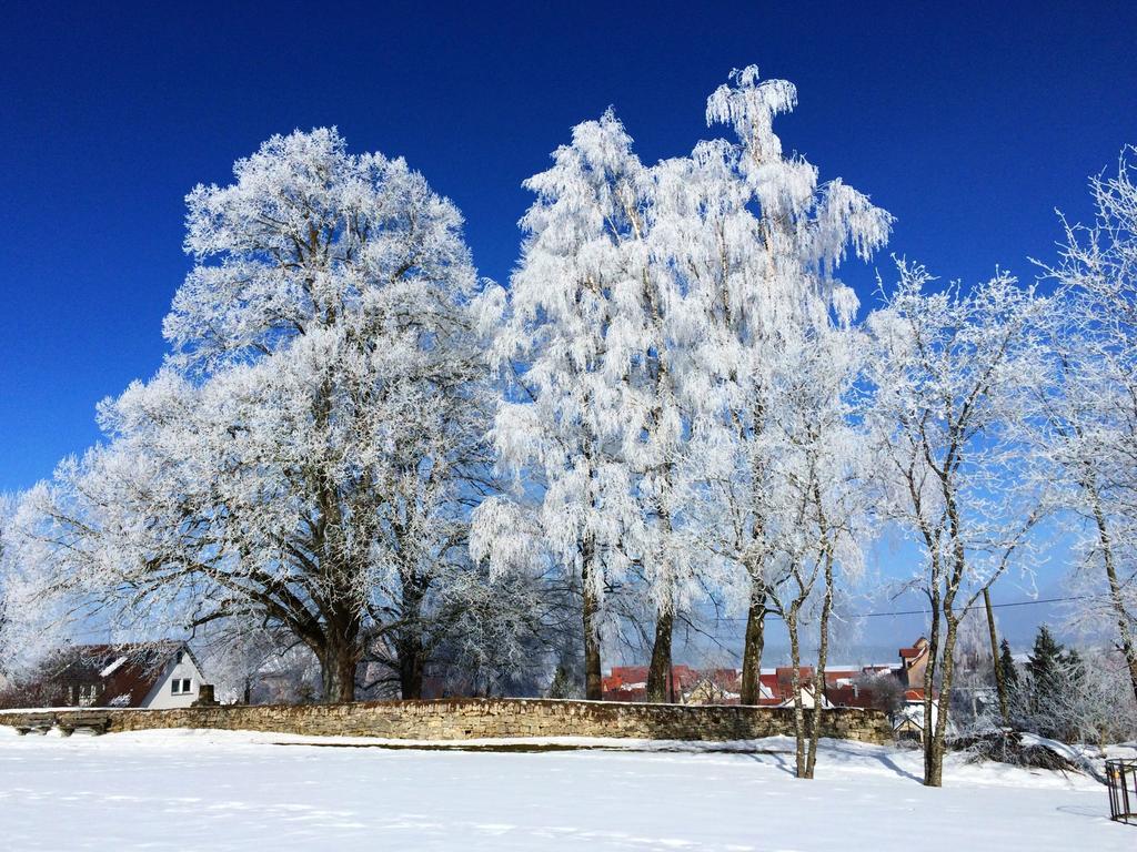 Ferienwohnung Ahorn Hohenstein  外观 照片